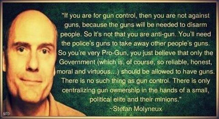 Good Essay About Gun Control